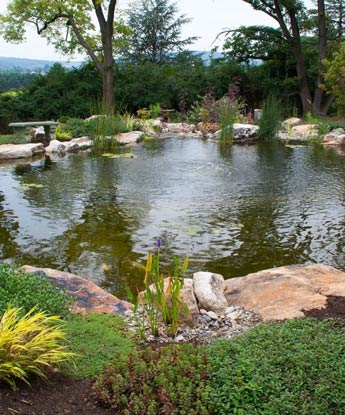 Pond Tent Structure for Backyard Ponds in Central PA 