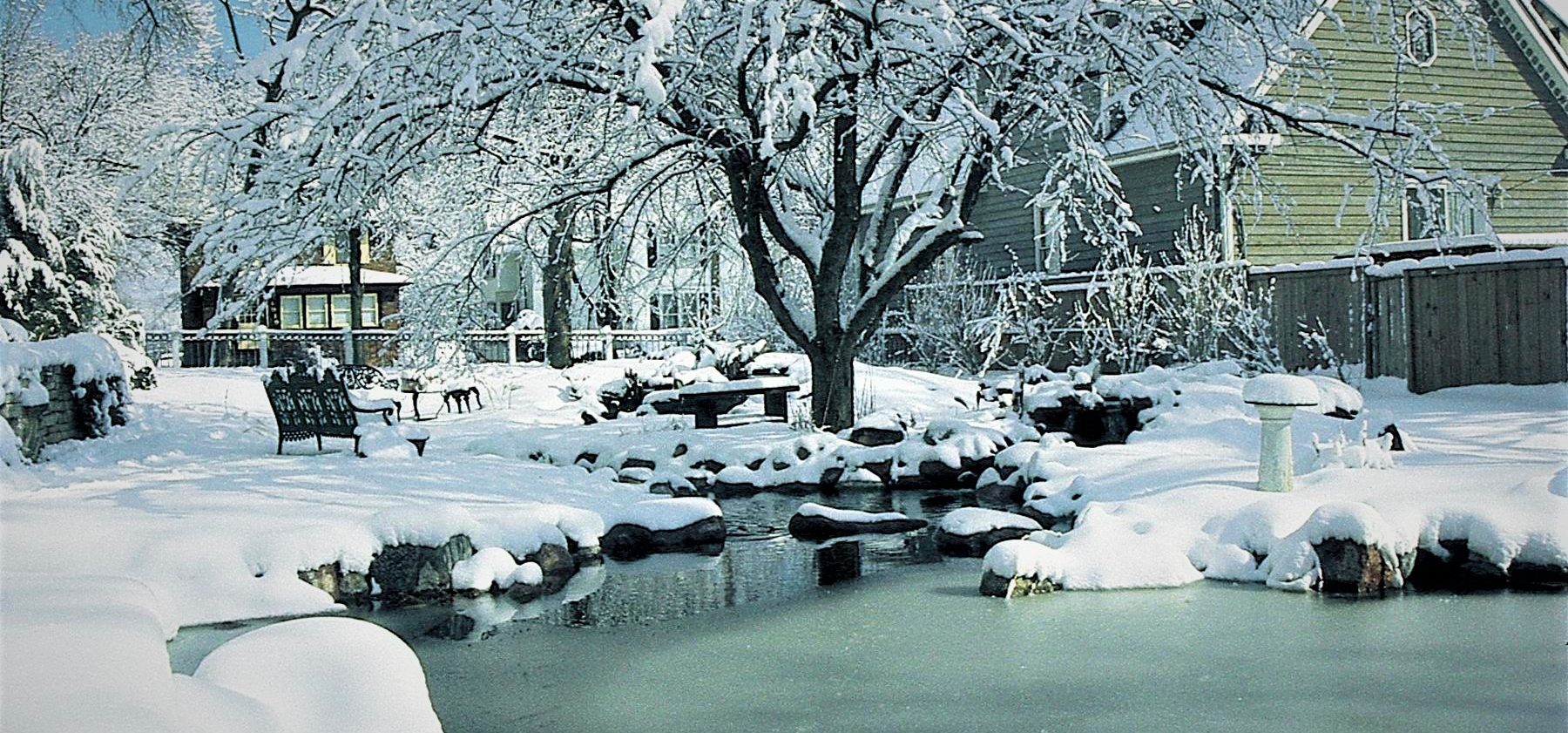 backyard pond in snow