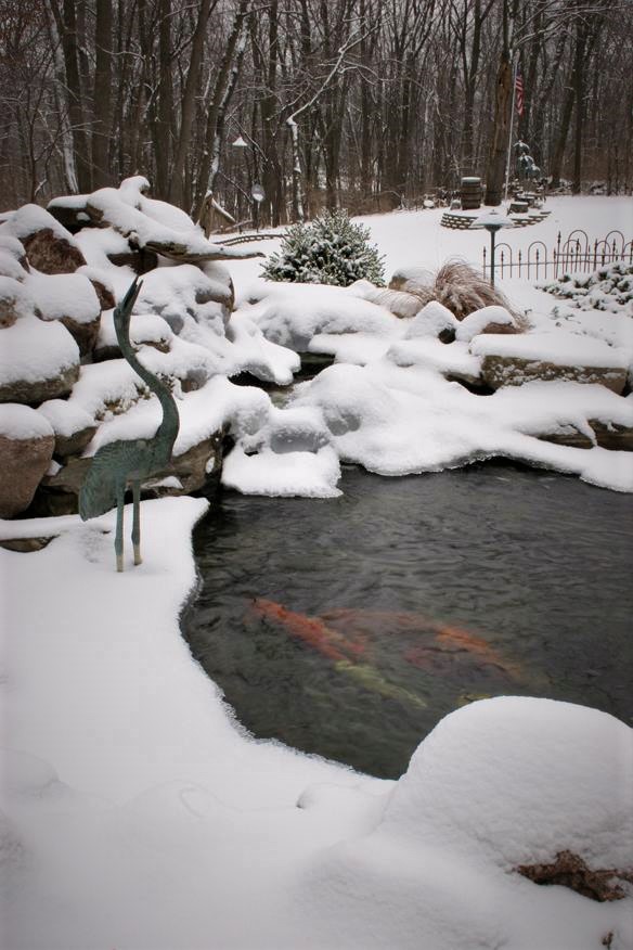 winter pond