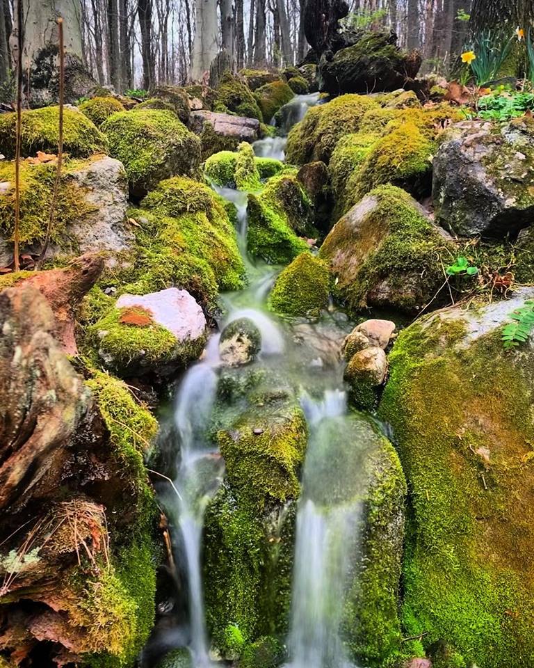 Mossy Pondless Waterfall 