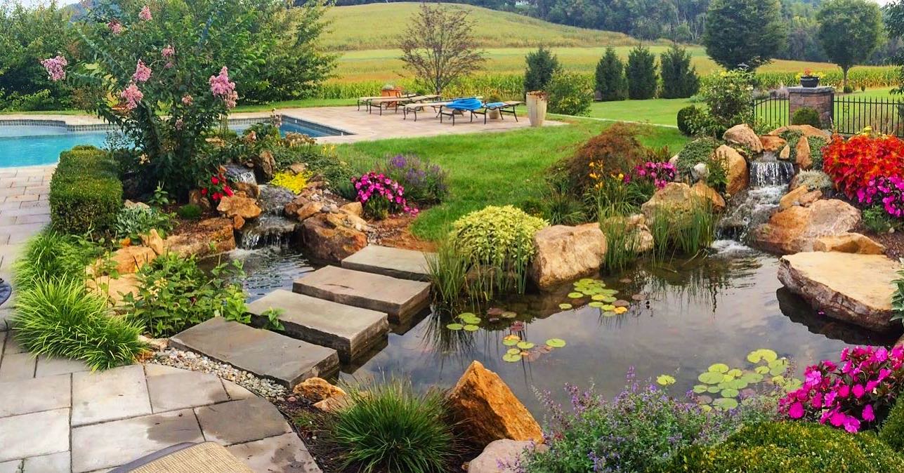 Pond Tent Structure for Backyard Ponds in Central PA 