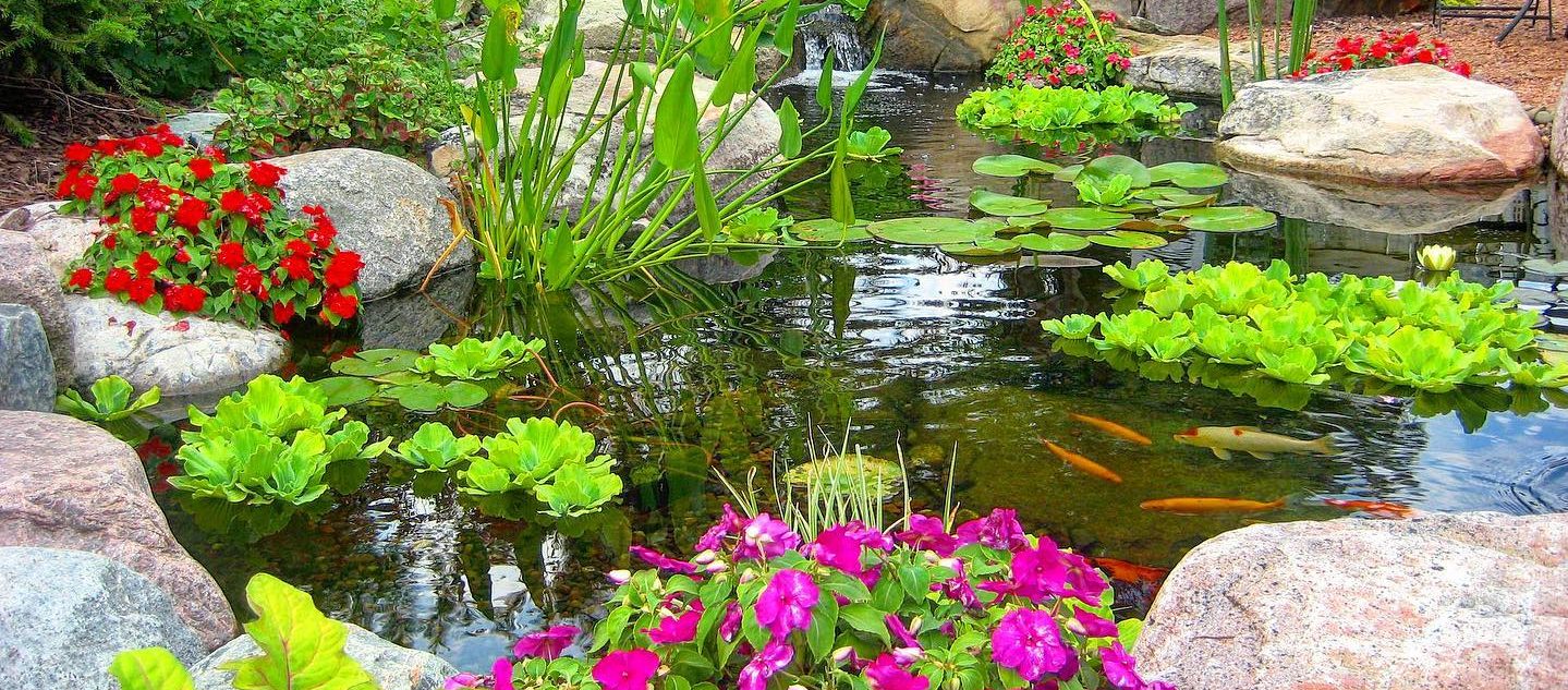 Pond Tent Structure for Backyard Ponds in Central PA 