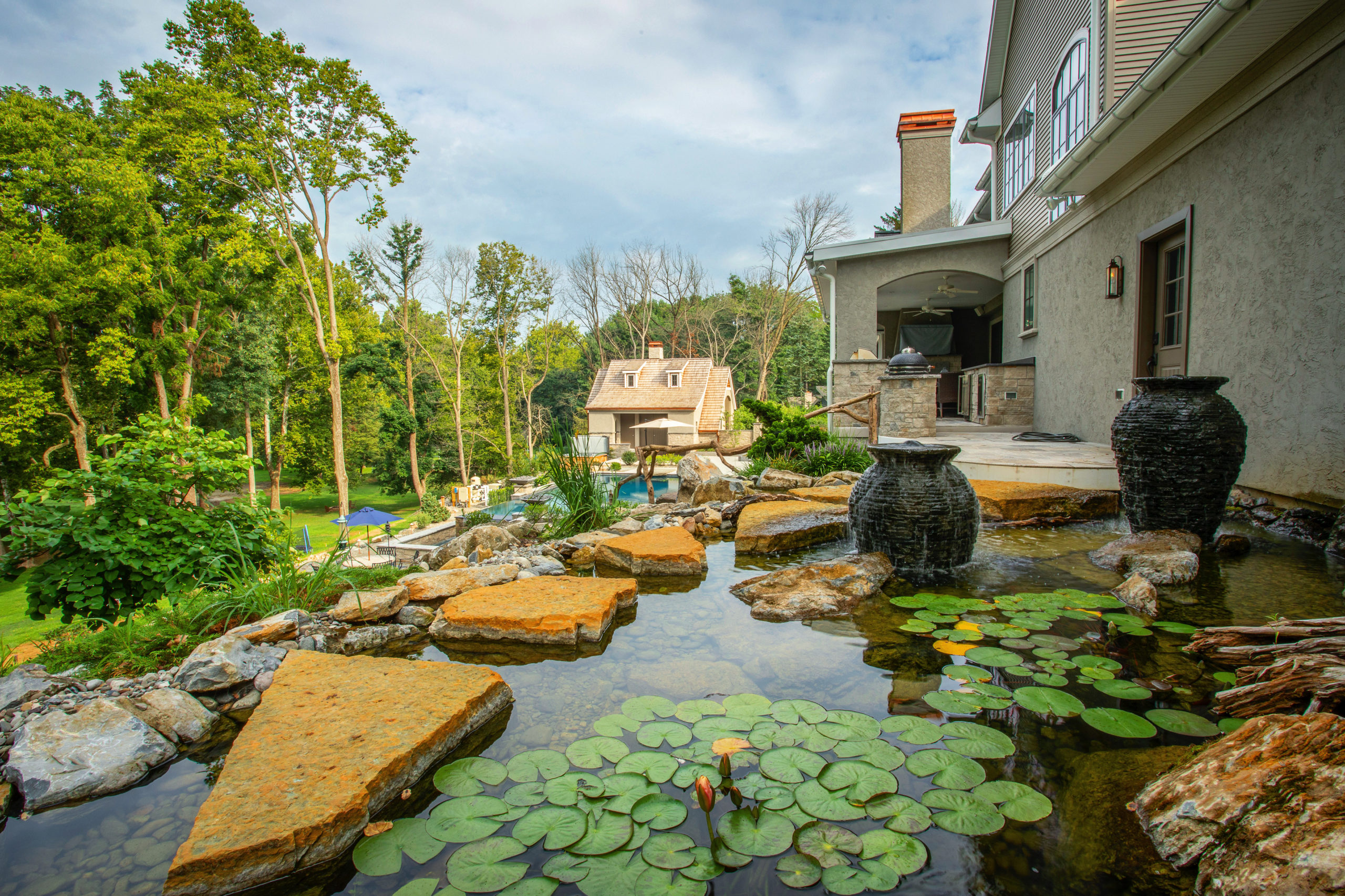 ecosystem pond and pool 