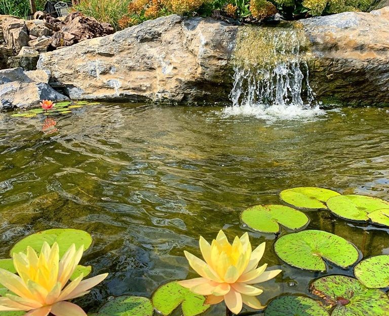 Pond with wetland filtration 