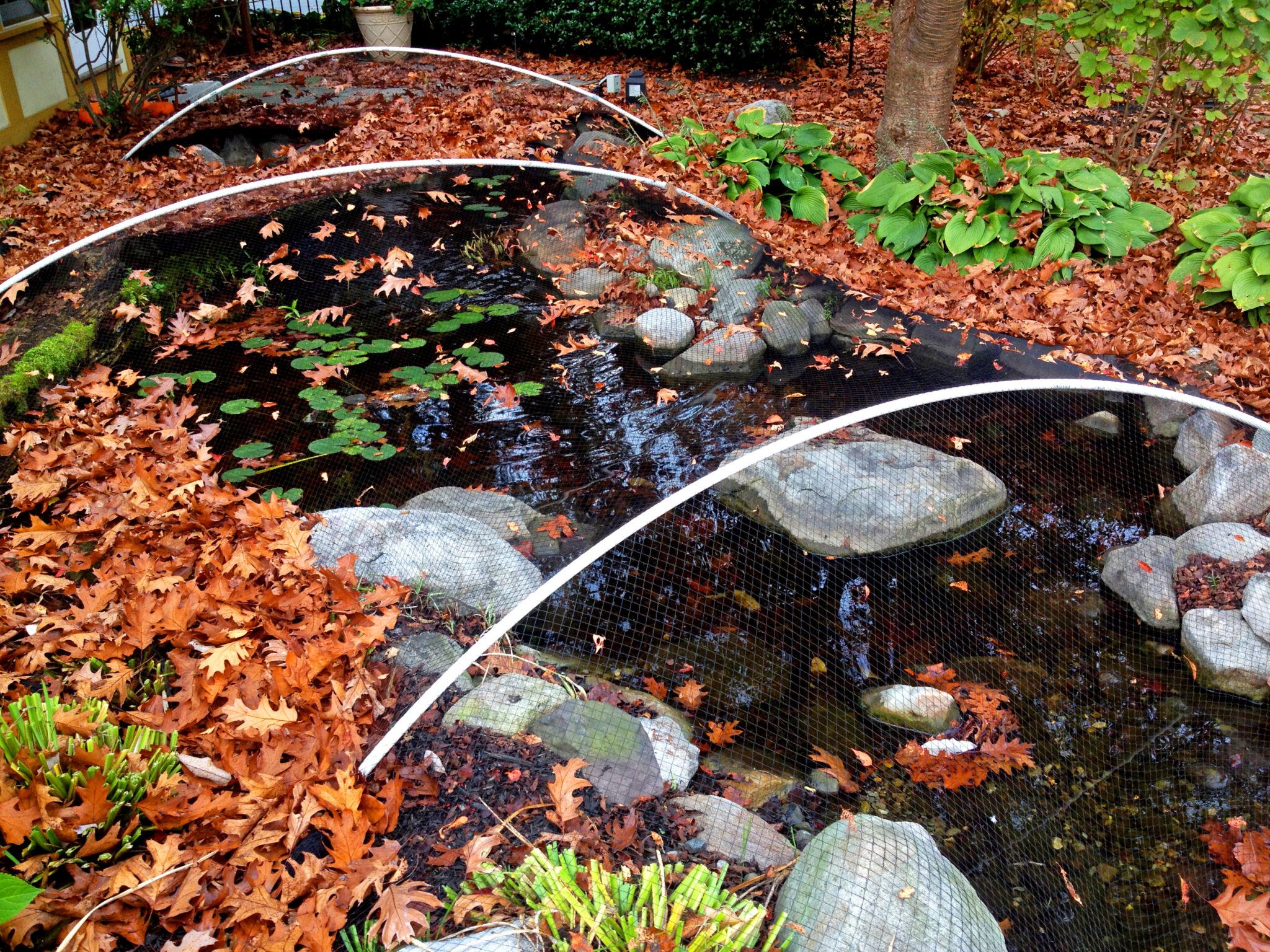 9 Tips for Winterizing Your Pond C.E. Pontz Sons