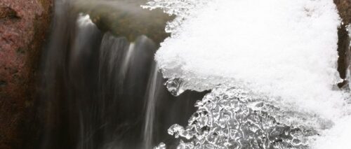 caring for pond fish in Lancaster, PA