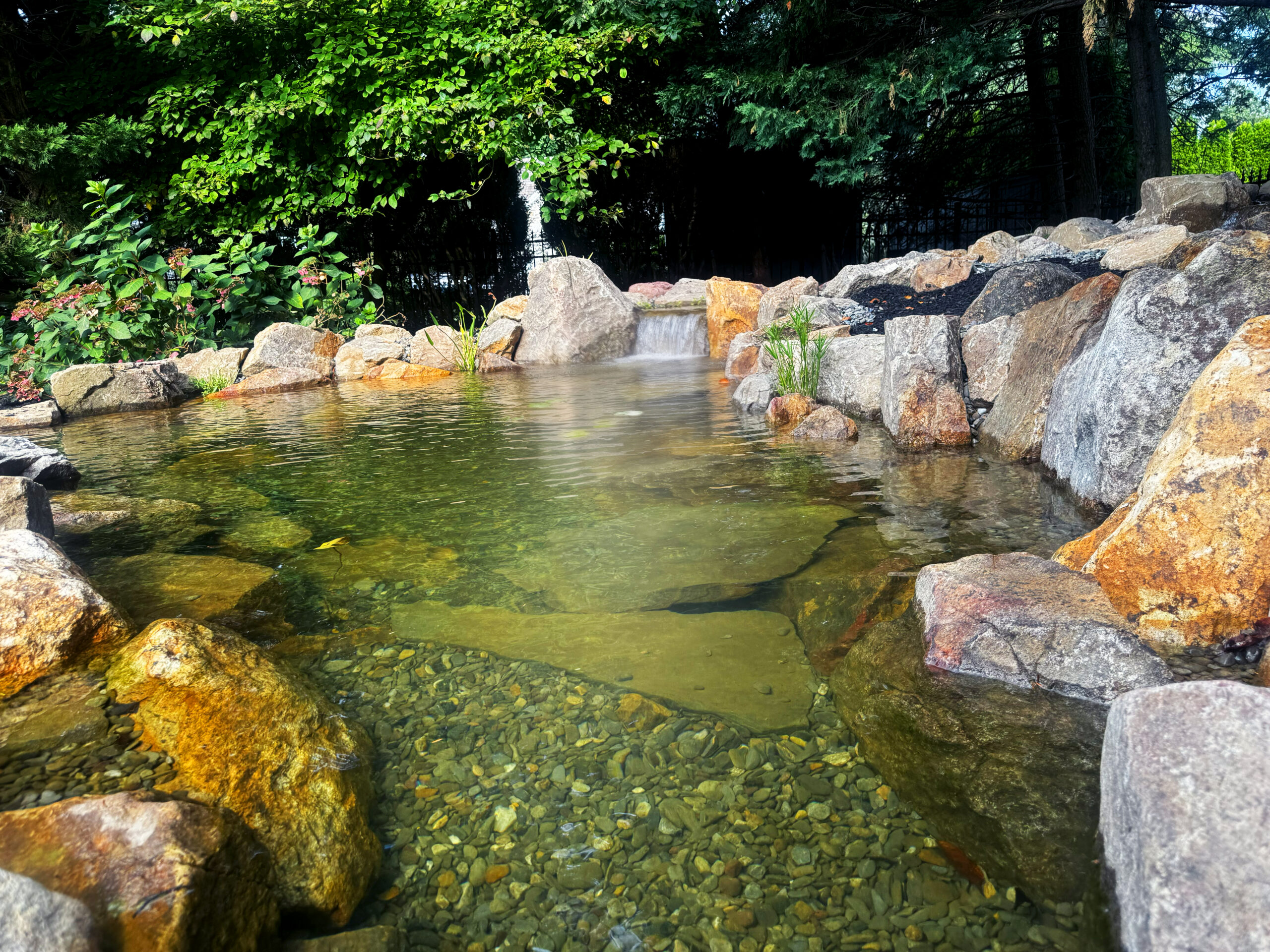 Ecosystem Koi Pond and Fountain Feature