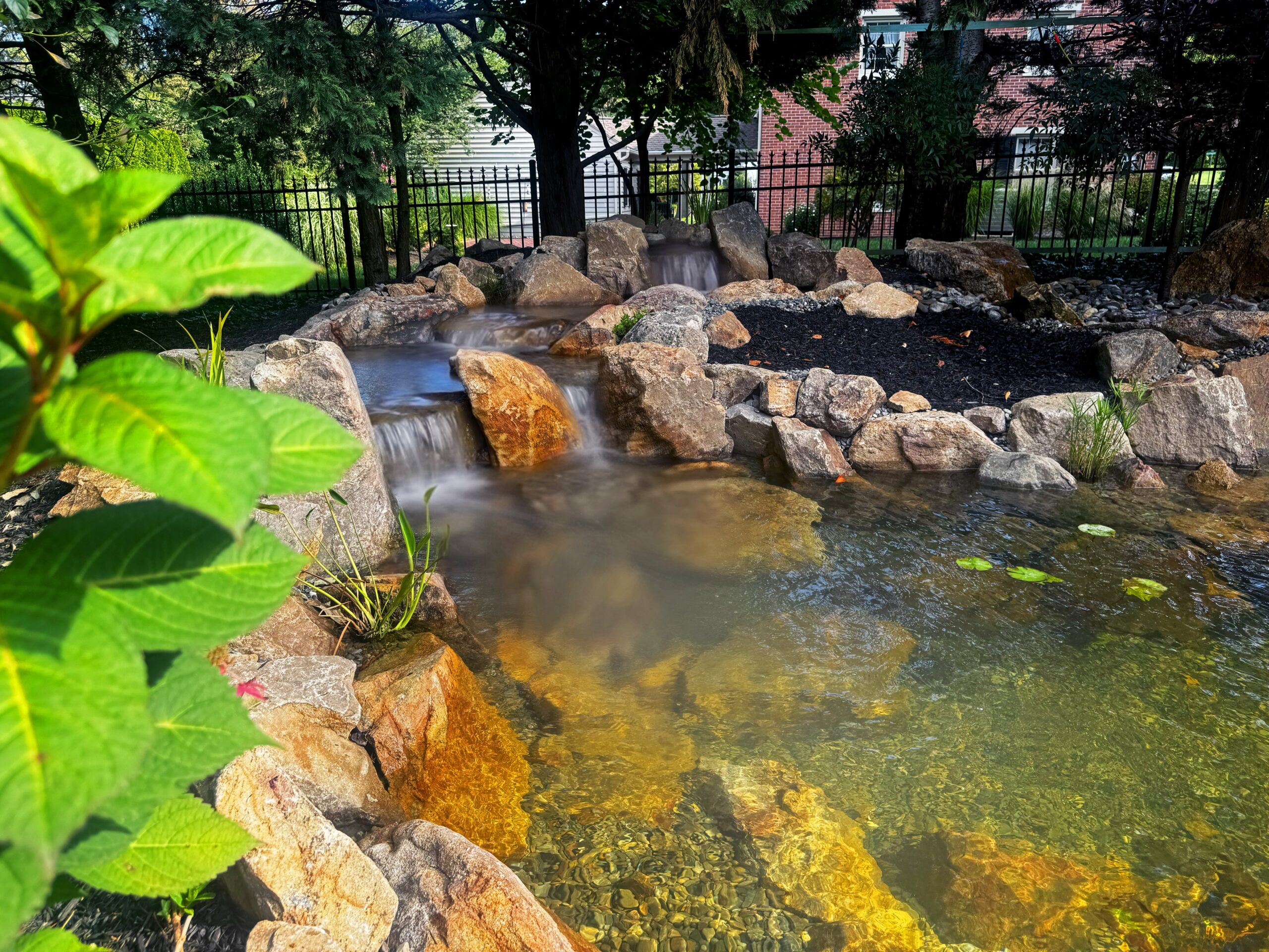 Ecosystem Koi Pond and Fountain Feature