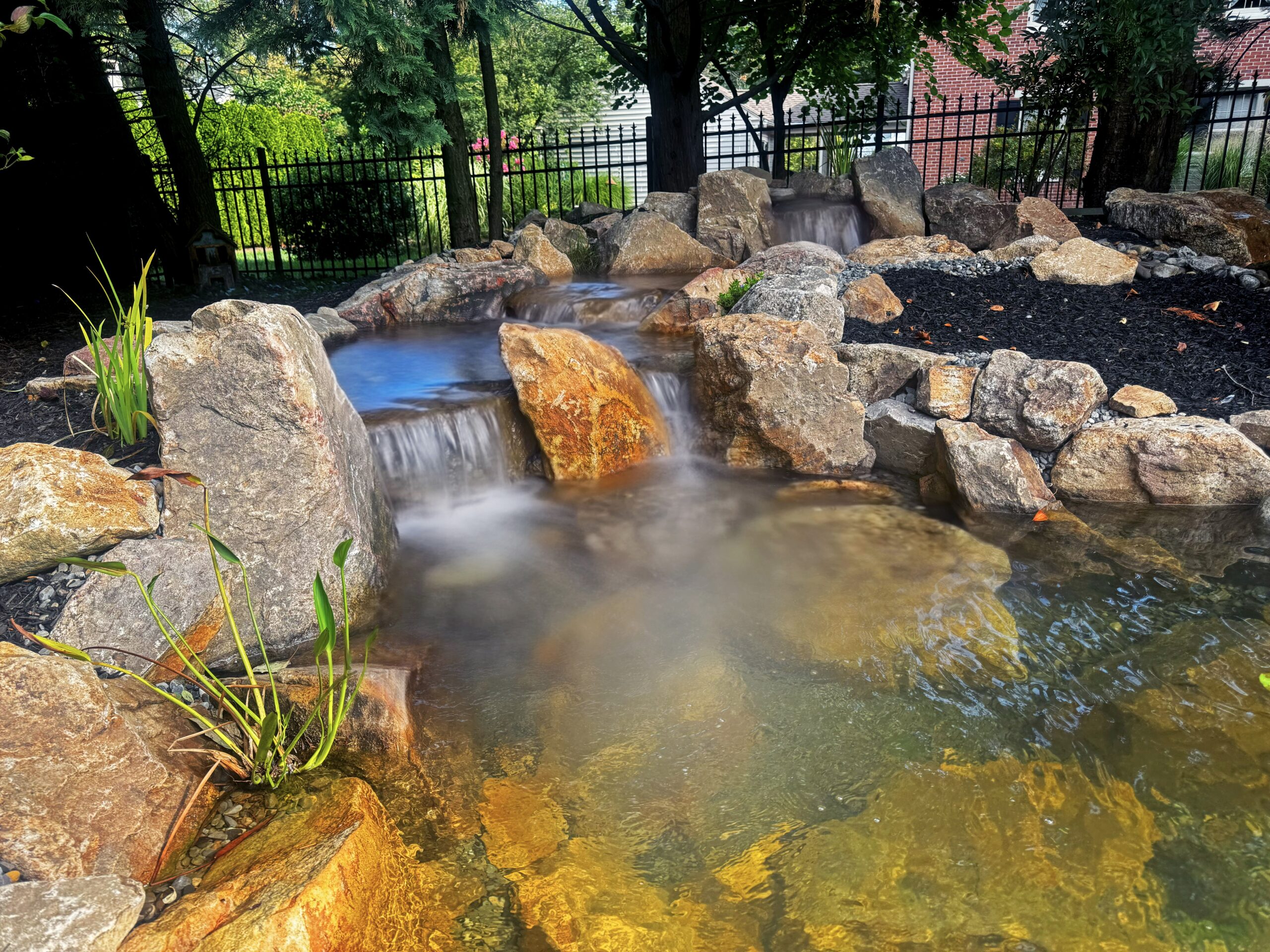 Ecosystem Koi Pond and Fountain Feature