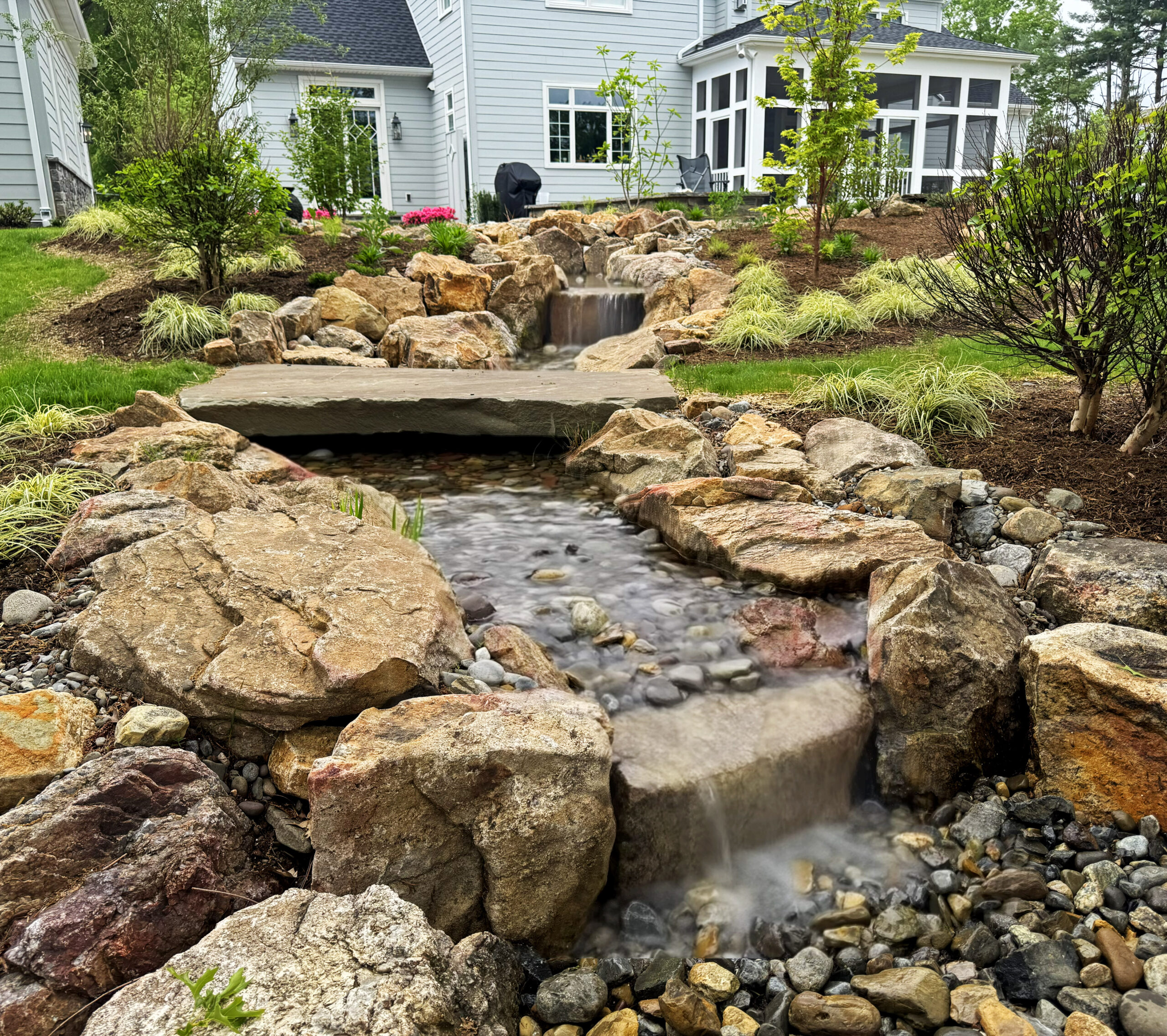 Mini Natural Swimming Pond